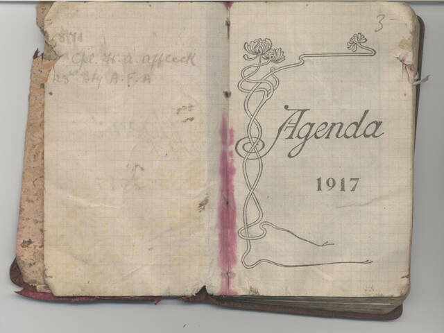 Diary of Herbert Alexander Affleck, 1917