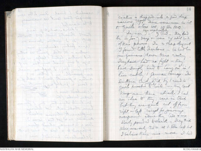 CEW Bean diaries