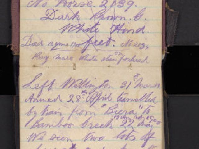 Diary of Archibald William Lawton Wookey