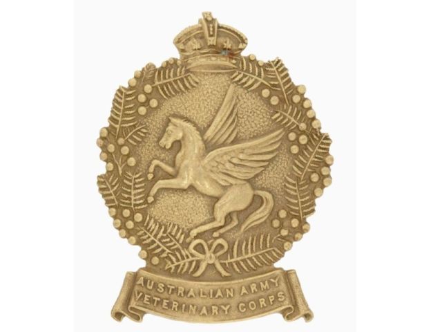 AAVC badge