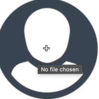 Transcriber 31085
